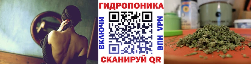 Галлюциногенные грибы Северск